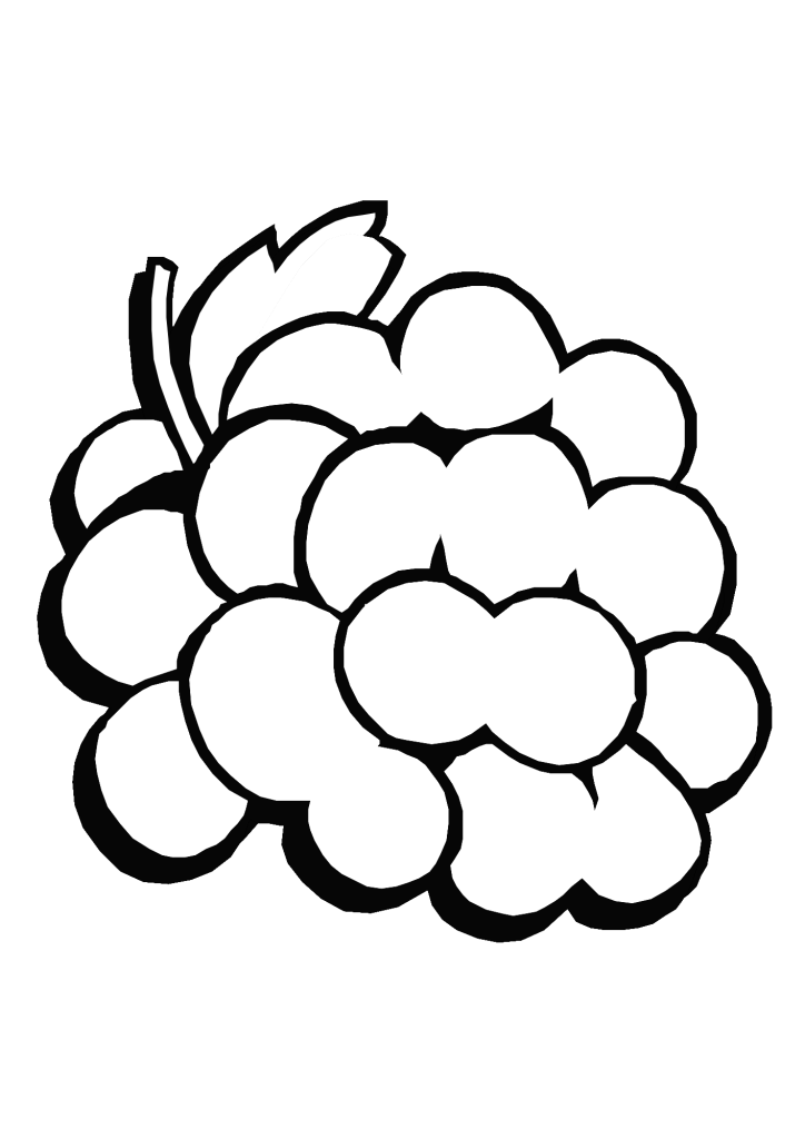 Grapes Image Drawing Coloring Pages