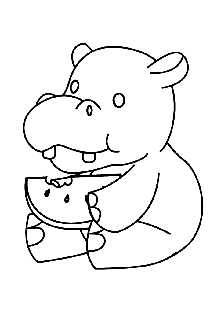 Cute Little Hippopotamus Eating A Watermelon