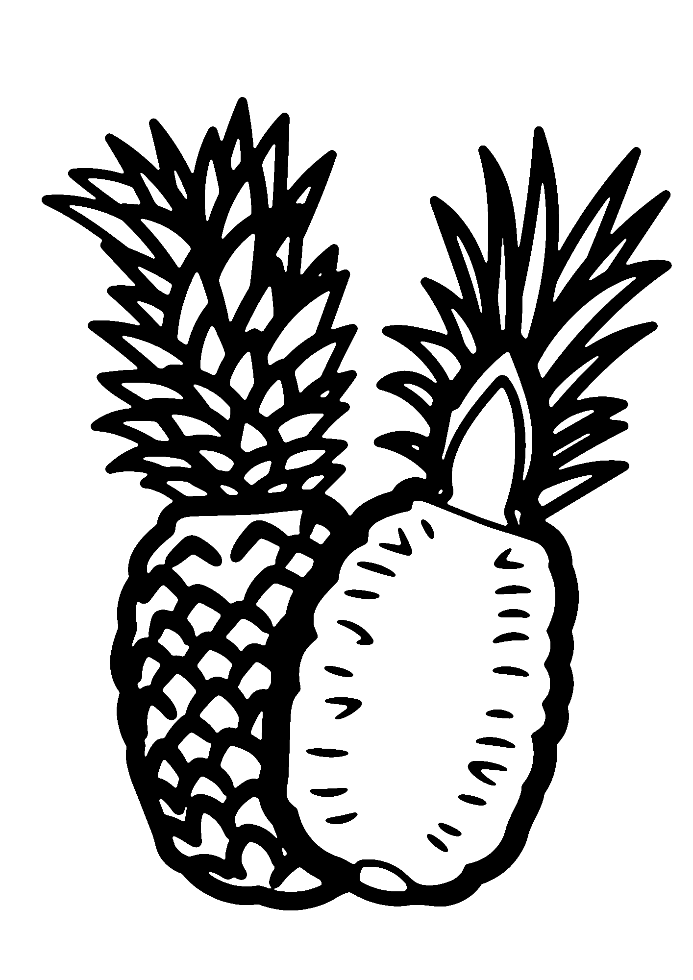 Cut Pineapple Coloring Pages